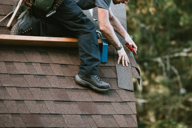 Best Roof Gutter Cleaning  in Hudson Bend, TX